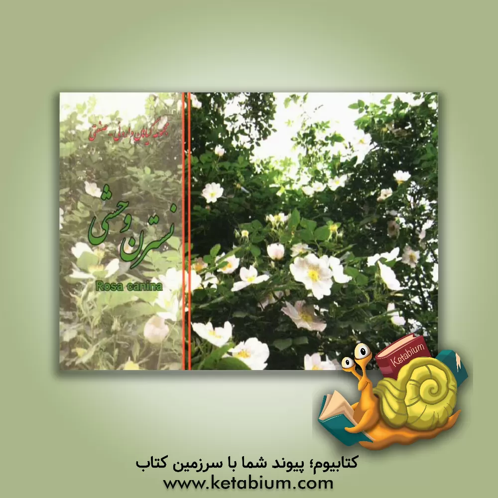 کتاب نسترن وحشی = Rosa canina اثر مهدی عماد