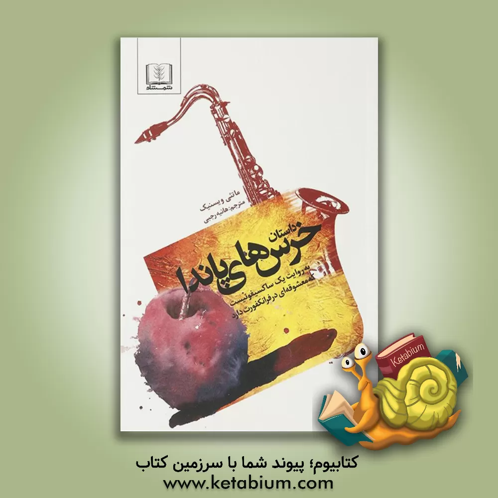 کتاب داستان خرس های پاندا به روایت یک ساکسیفونیست که دوست دختری در فرانکفورت دارد اثر ماتئی ویشنیک