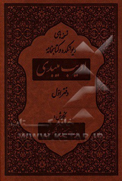 کتاب نسخه های دیوانکده و کتابخانه ادیب میبدی اثر سیداحمد حسینی‌اشکوری