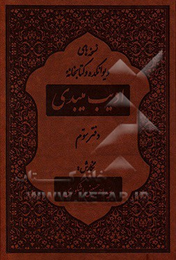 کتاب نسخه های دیوانکده و کتابخانه ادیب میبدی اثر سیداحمد حسینی‌اشکوری