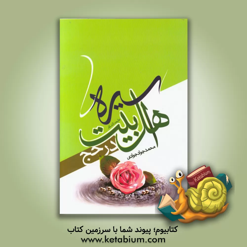 کتاب سیره اهل بیت (ع) در حج اثر محمدجواد جوادی