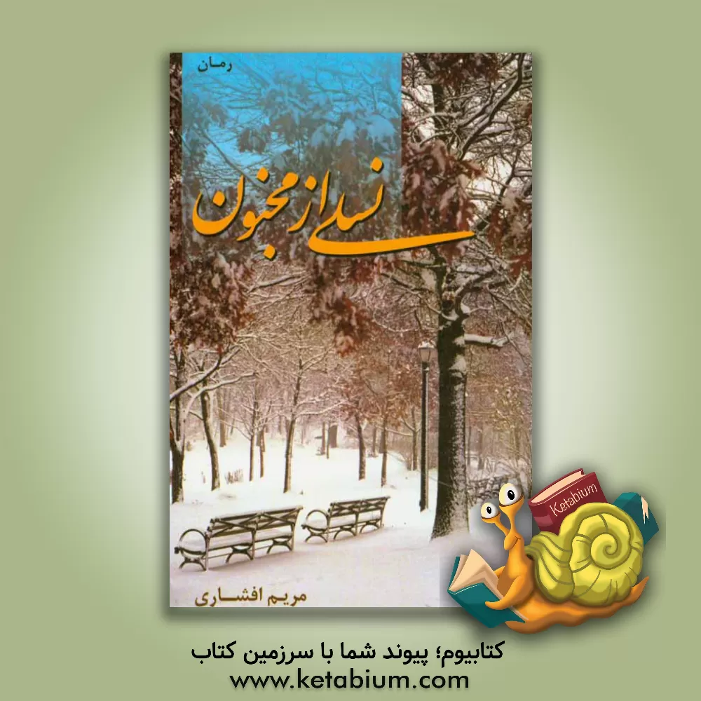 کتاب نسلی از مجنون اثر مریم افشاری‌فراموش‌جانی