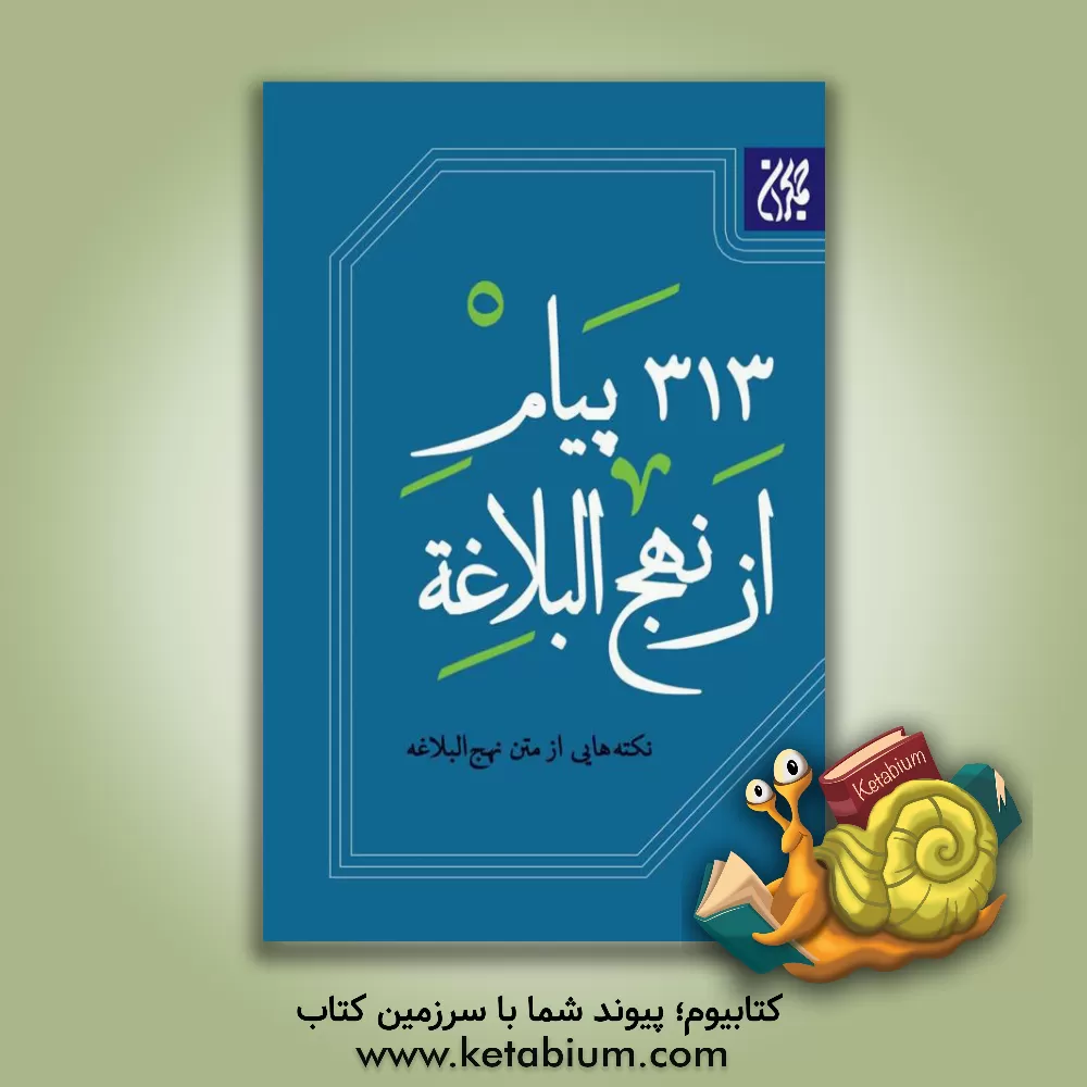 کتاب 313 پیام از نهج البلاغه اثر سیدحمیدرضا موسوی