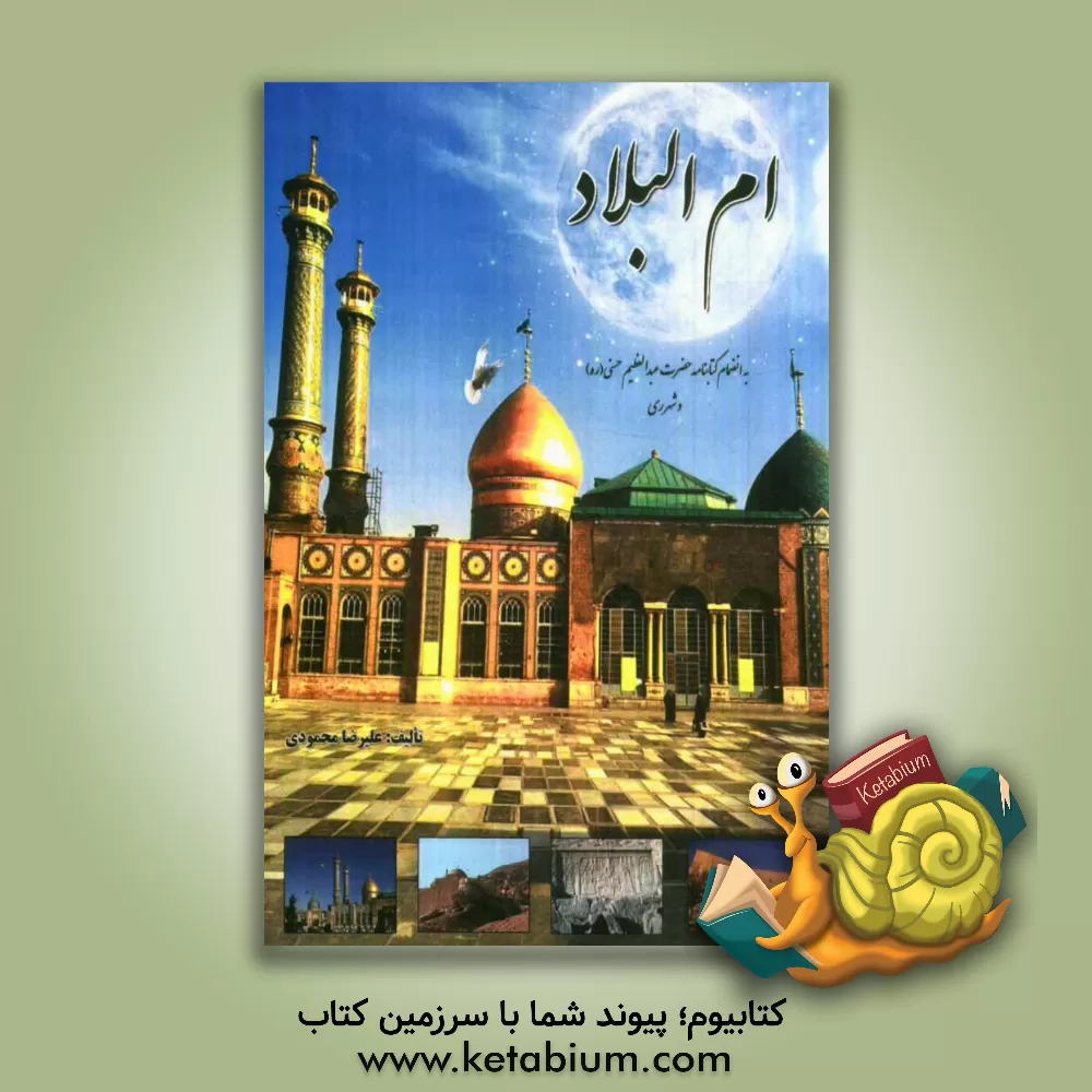 کتاب ام البلاد: به انضمام کتابنامه حضرت عبدالعظیم حسنی (ره) و شهر ری اثر علیرضا محمودی