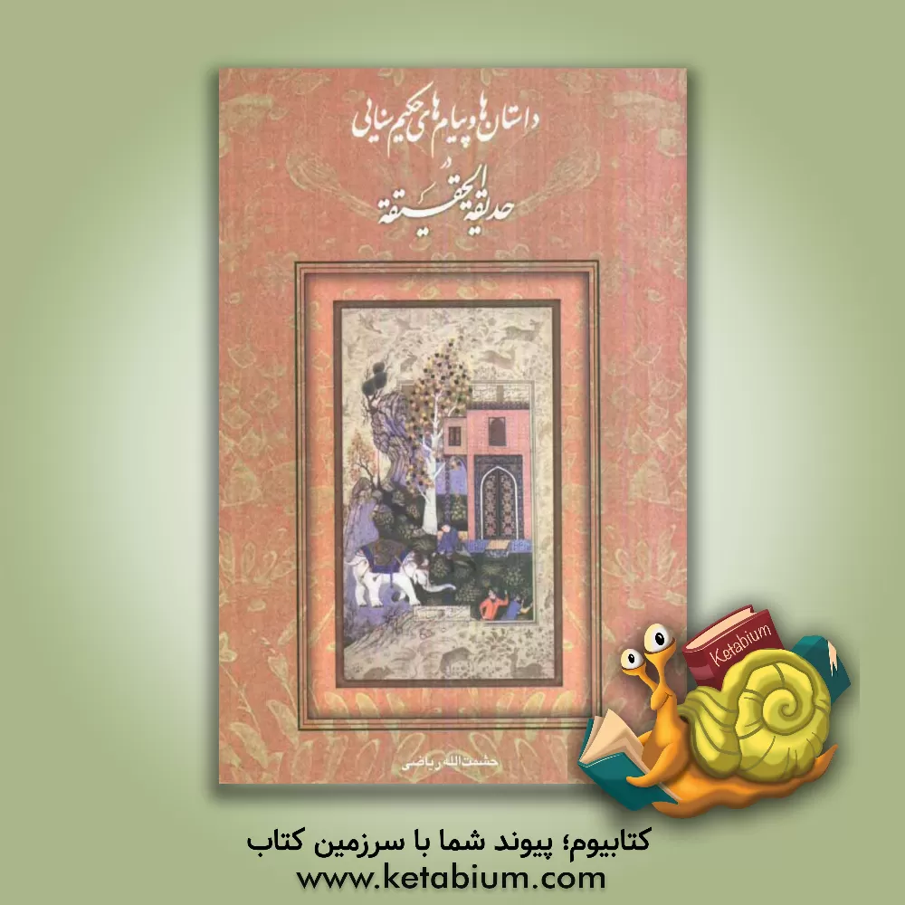 کتاب داستان ها و پیام های حکیم سنایی در حدیقه الحقیقه اثر حشمت‌الله ریاضی