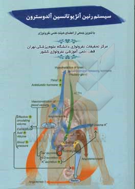 کتاب سیستم رنین آنژیونانسین آلدوسترون اثر محبوب لسان‌پزشکی