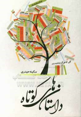 کتاب داستان های کوتاه اثر سکینه حیدری