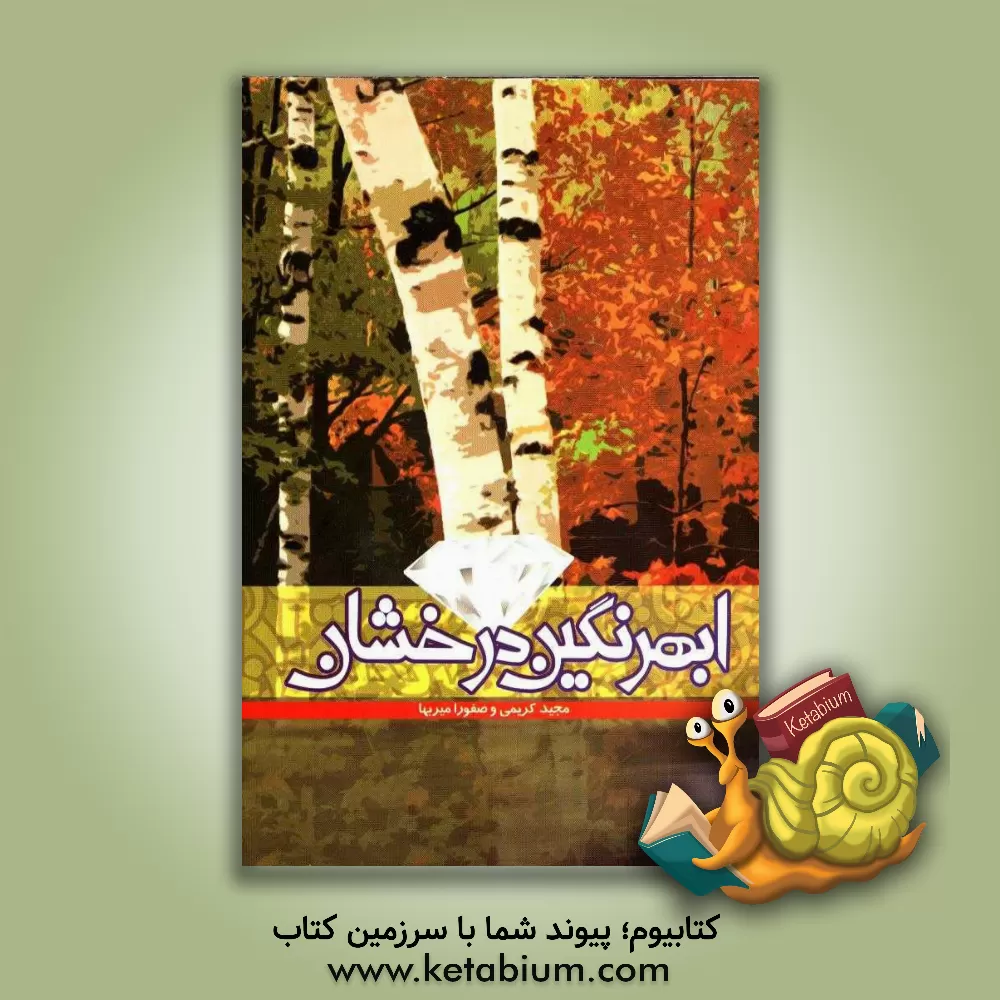 کتاب ابهر، نگین درخشان اثر مجید کریمی کتاب ابهر، نگین درخشان اثر مجید کریمی