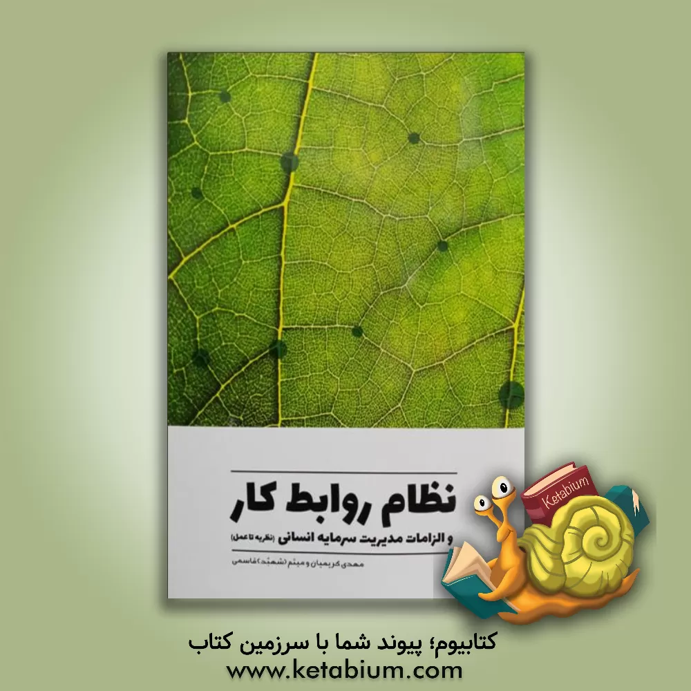 کتاب نظام روابط کار و الزامات مدیریت سرمایه  انسانی: نظریه تا عمل اثر میثم قاسمی