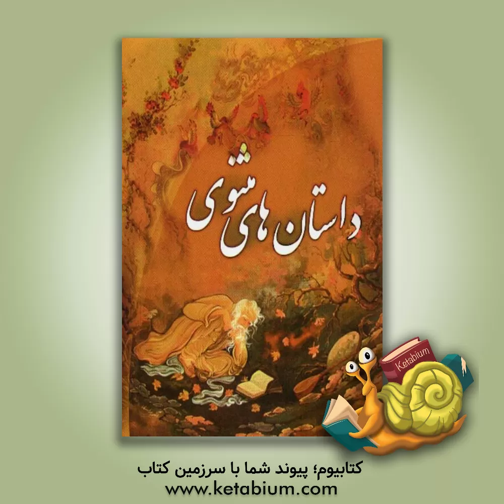 کتاب داستانهای مثنوی اثر رقیه همایی