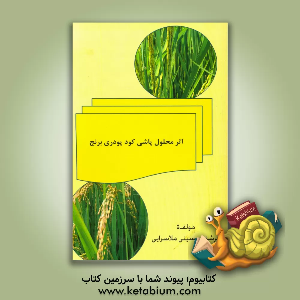 کتاب اثر محلول پاشی کود پودری برنج بر عملکرد و اجزای عملکرد میزان آهن و روی دانه و برگ و میزان کلروفیل برنج رقم (گوهر) 13 SA اثر فرشته حسینی‌ملاسرایی