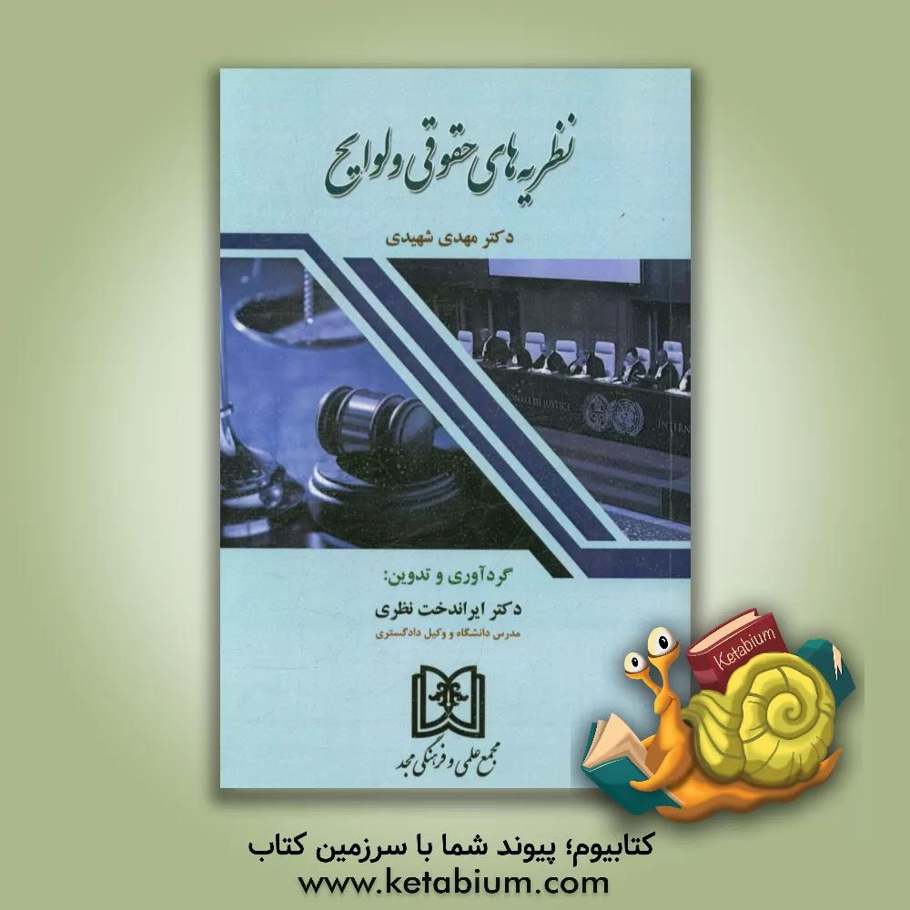 کتاب نظریه های حقوقی و لوایح اثر مهدی شهیدی