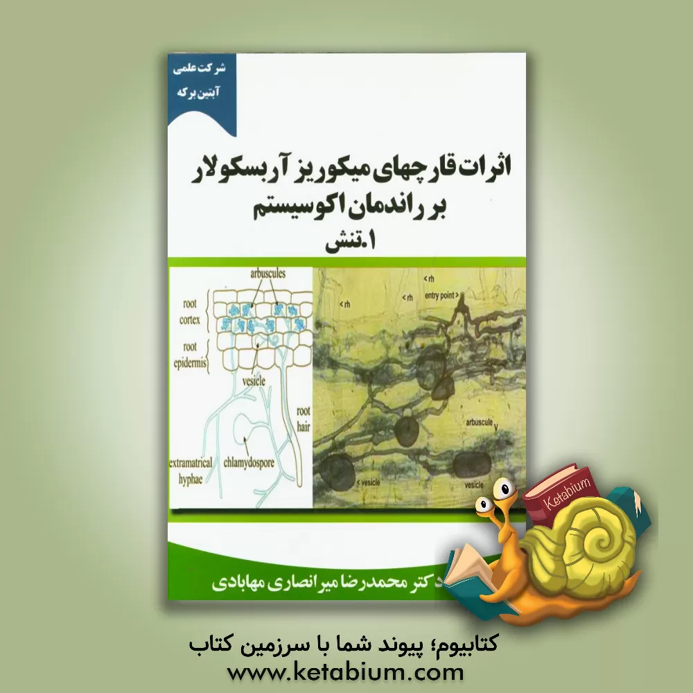 کتاب اثرات قارچهای میکوریز آربسکولار بر راندمان اکوسیستم: 1- تنش اثر محمدرضا میرانصاری‌مهابادی