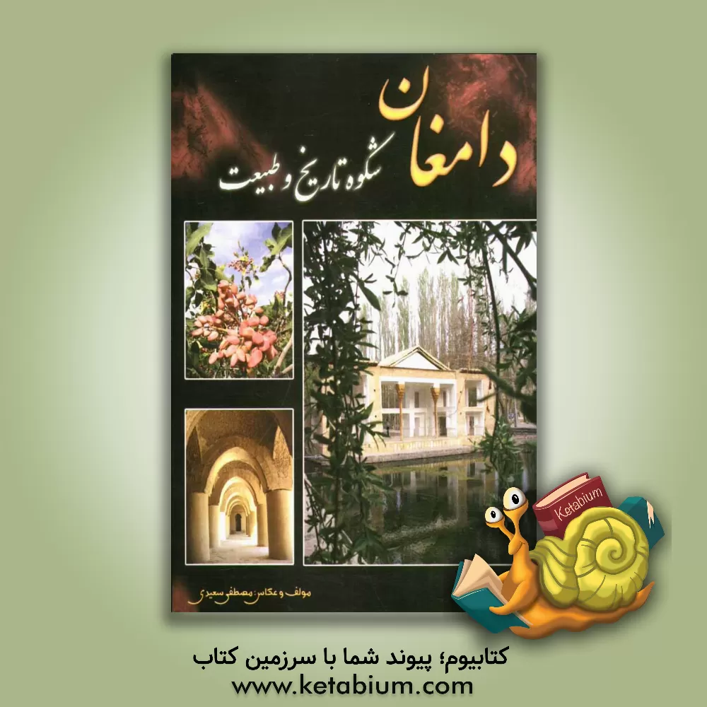 کتاب دامغان: شکوه تاریخ و طبیعت اثر مصطفی سعیدی