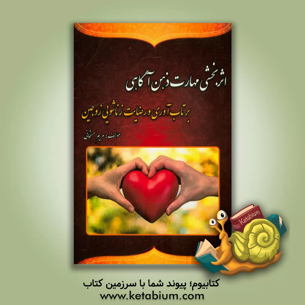 کتاب اثربخشی مهارت ذهن آگاهی بر تاب آوری و رضایت زناشویی زوجین اثر مریم حسنخانی