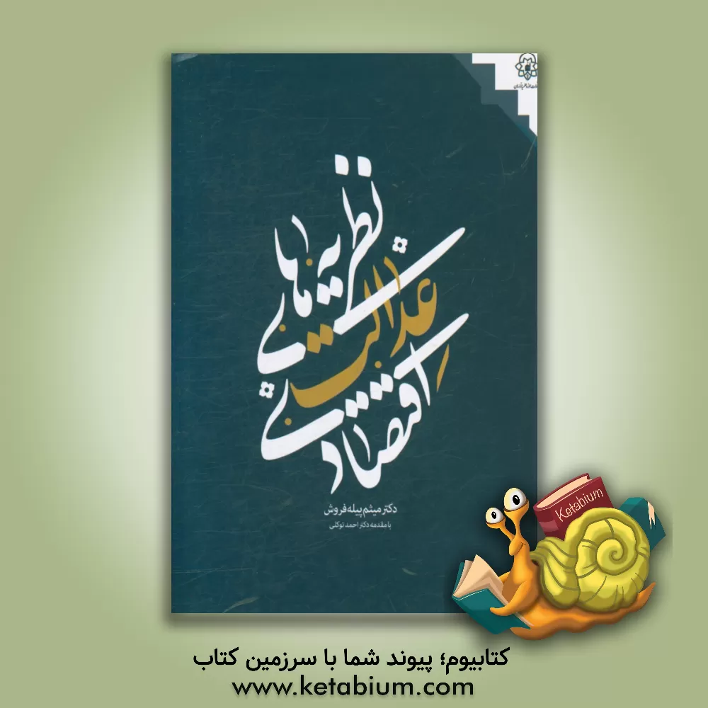 کتاب نظریه های عدالت اقتصادی اثر میثم پیله‌فروش