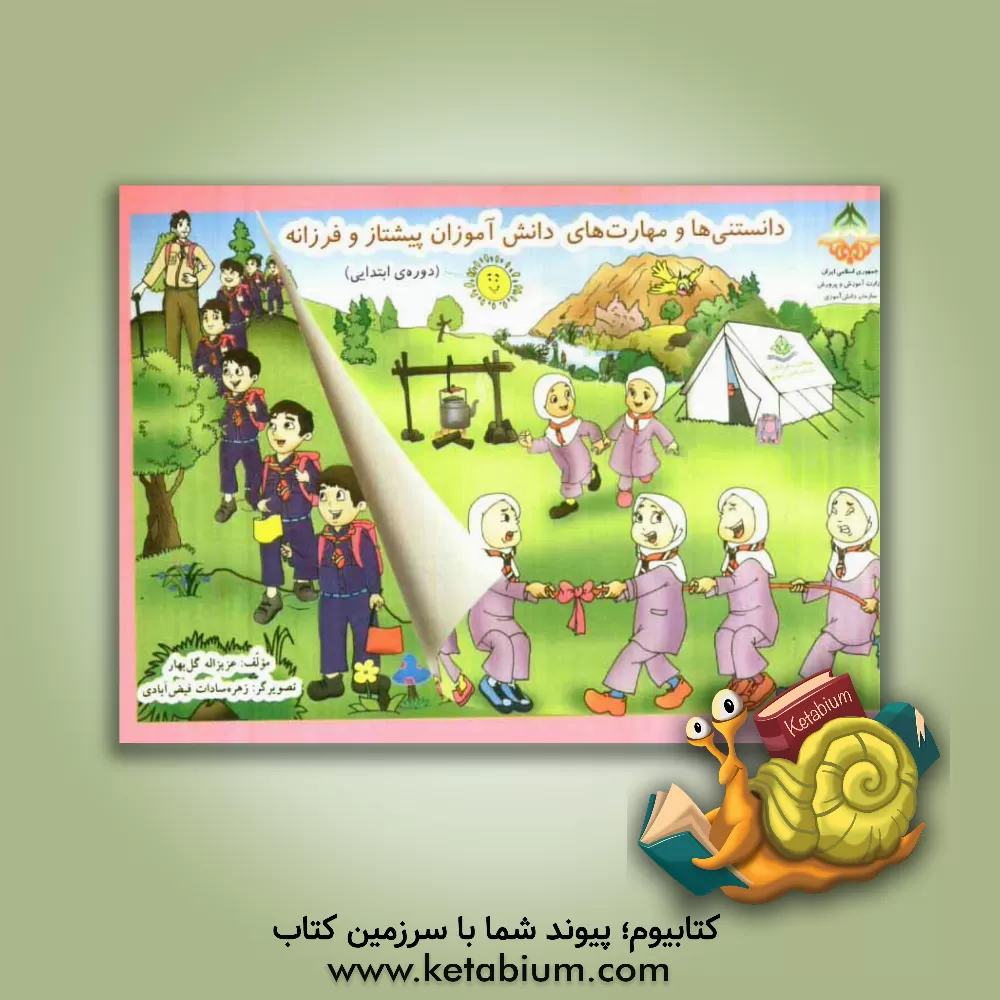 کتاب دانستنی ها و مهارت های دانش آموزان پیشتاز و فرزانه (دوره ی ابتدایی) |اثر عزیزاله گل بهار