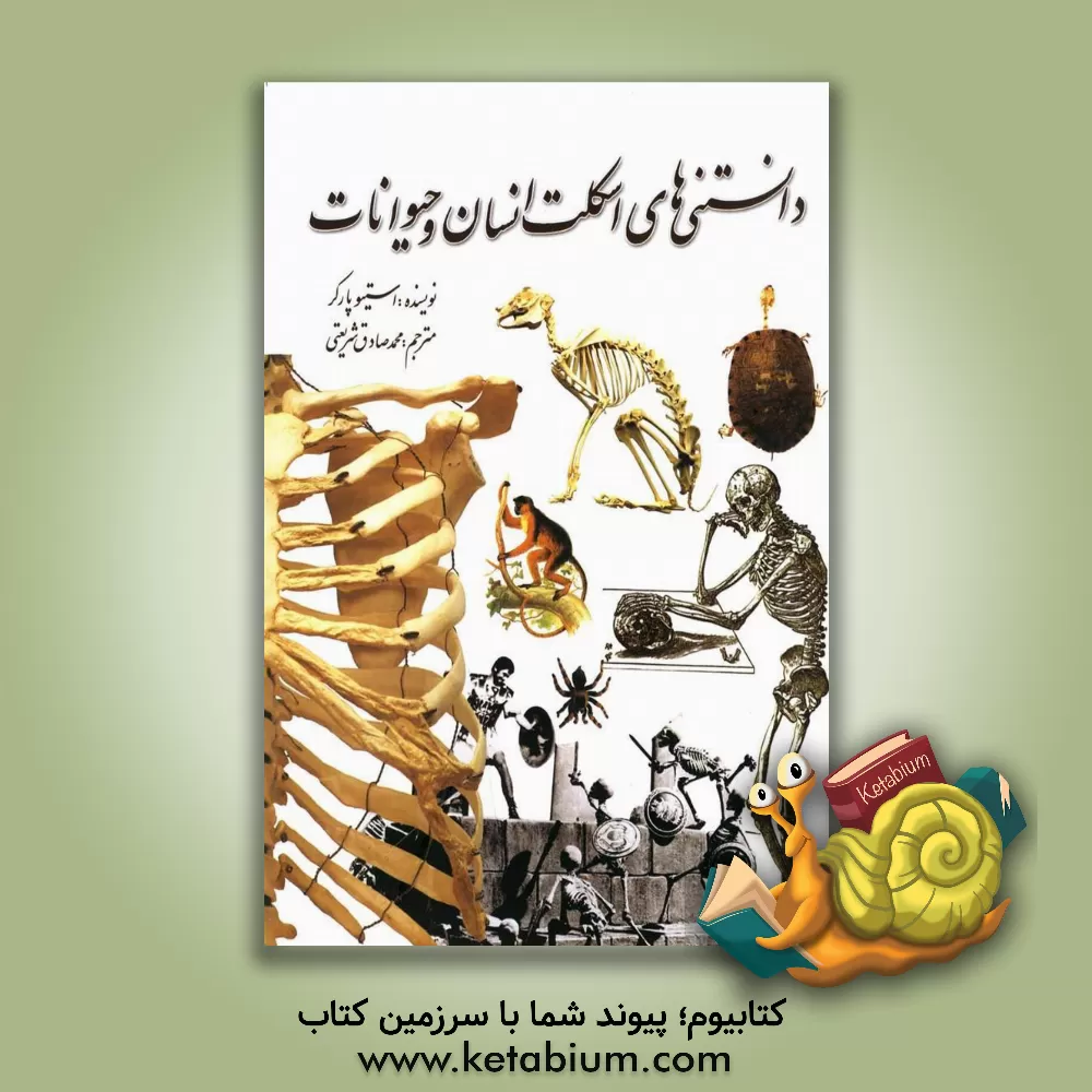 کتاب دانستنی های اسکلت انسان و حیوانات |اثر استیو پارکر