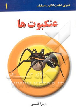 کتاب عنکبوت ها اثر میترا قاسمی