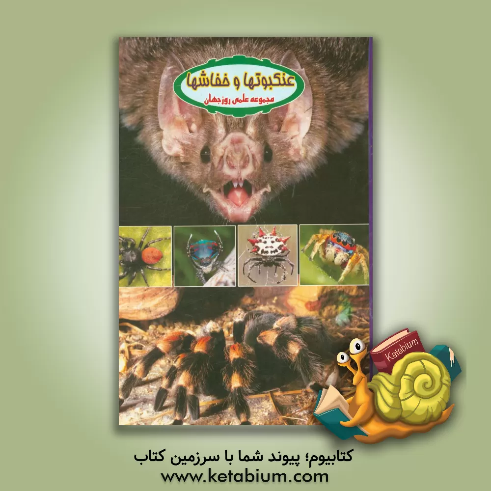 کتاب عنکبوتها و خفاشها اثر علی ذوالفقاری