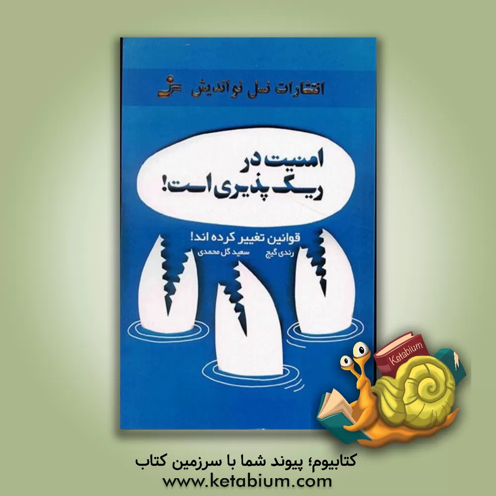 کتاب امنیت در ریسک پذیری است: قوانین تغییر کرده اند... اثر گیج رندی