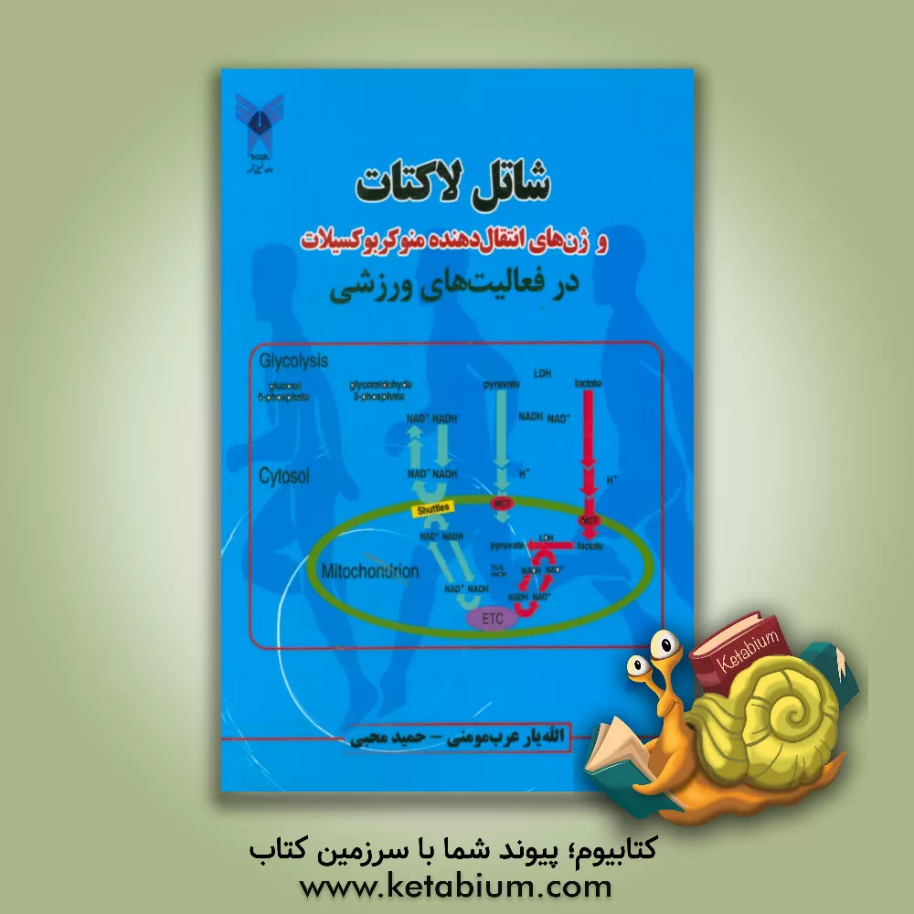 کتاب شاتل لاکتات و ژن های انتقال دهنده منو کربوکسیلات در فعالیت های ورزشی اثر الله‌یار عرب‌مومنی
