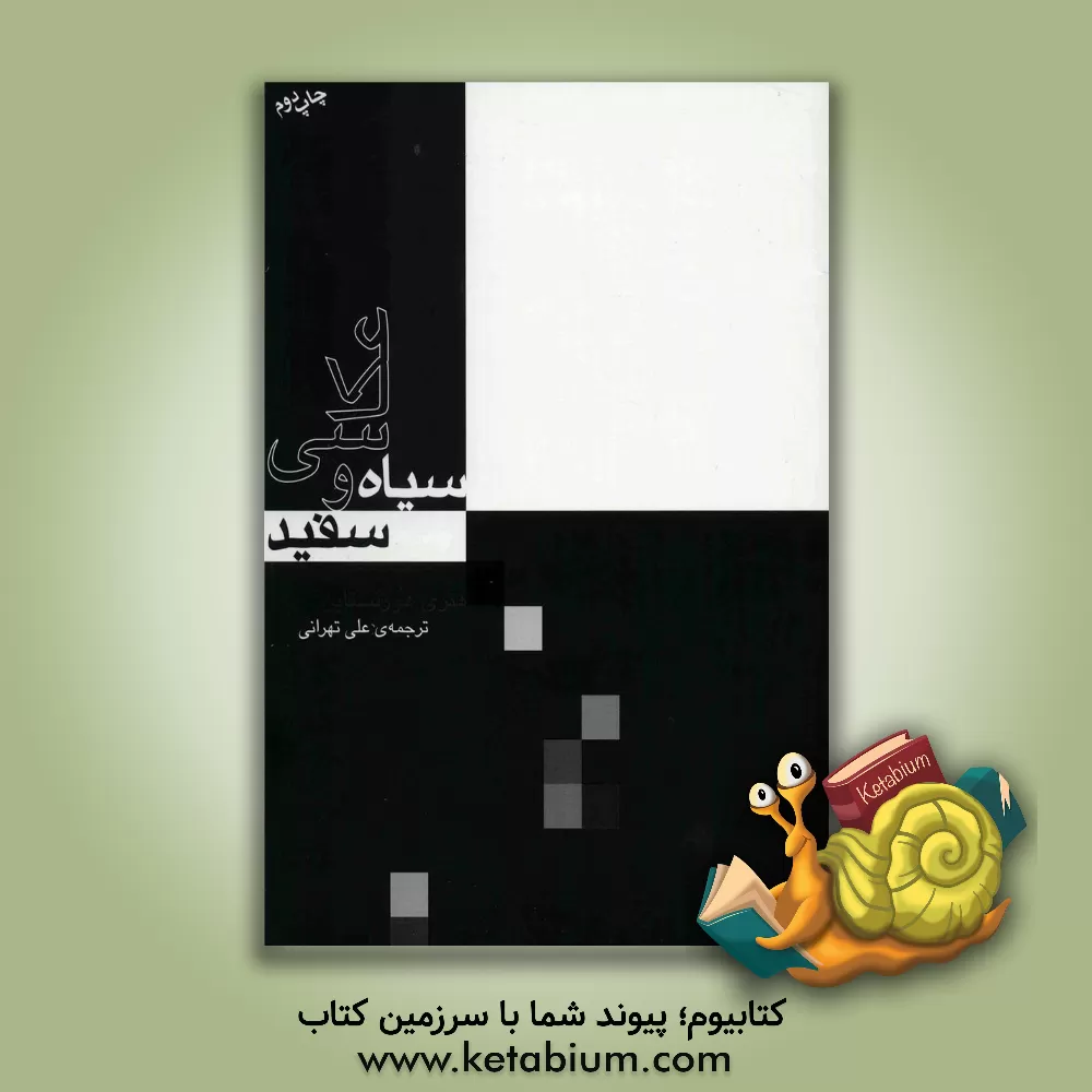 کتاب عکاسی سیاه و سفید |اثر هنری هورنستاین