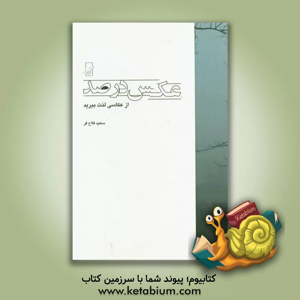 کتاب عکس در 100: از عکاسی لذت ببرید اثر سعید فلاح‌فر