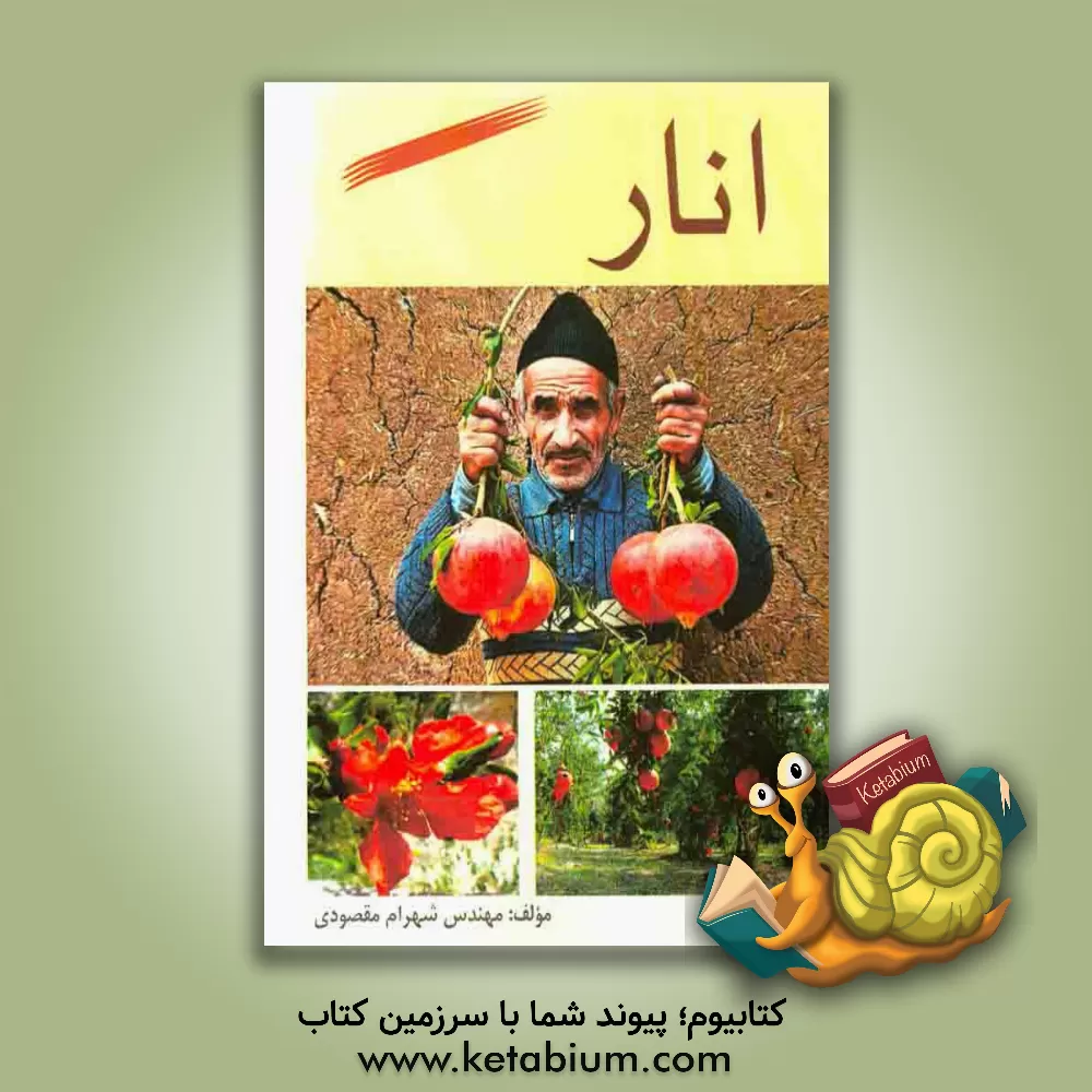 کتاب انار اثر شهرام مقصودی