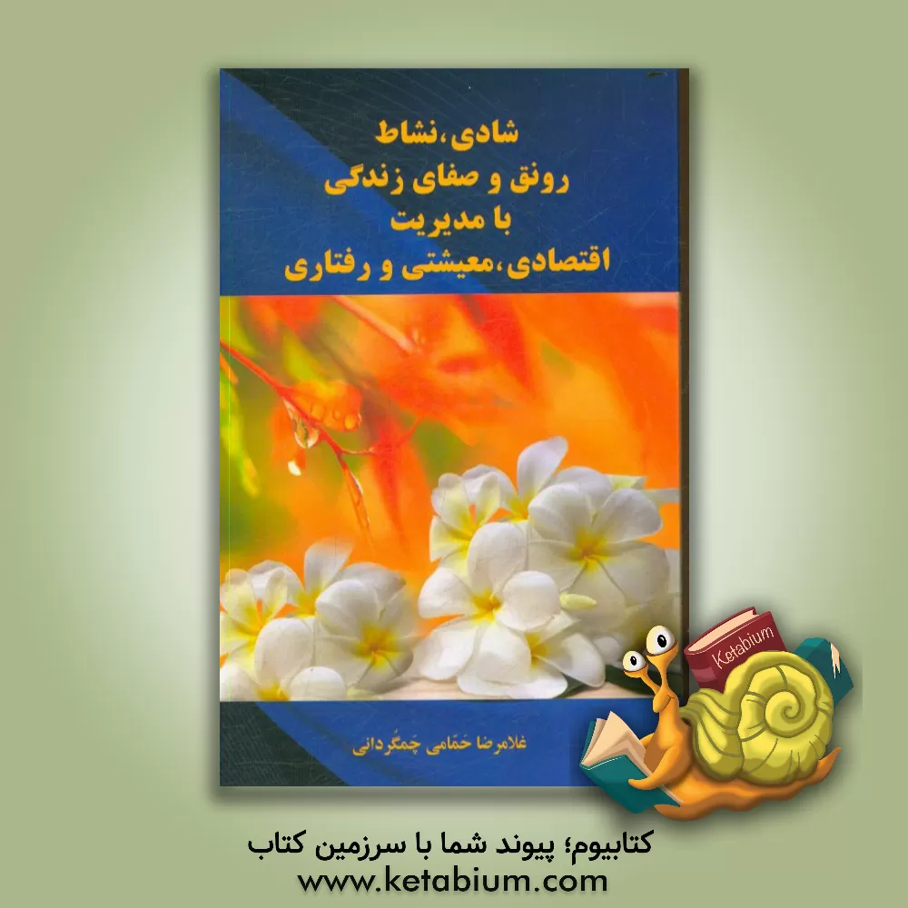 کتاب شادی، نشاط رونق و صفای زندگی: با مدیریت اقتصادی، معیشتی و رفتاری اثر غلامرضا حمامی‌چمگردانی