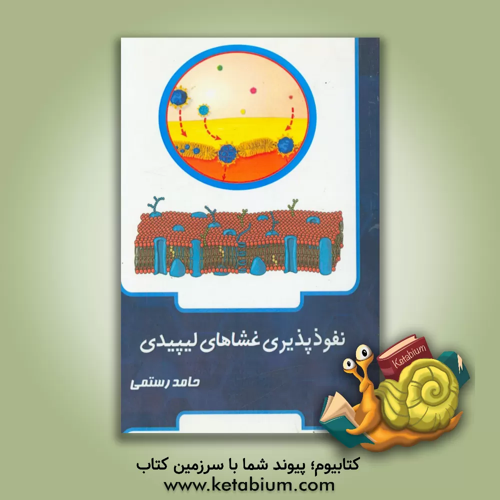 کتاب نفوذپذیری غشاهای لیپیدی اثر حامد رستمی