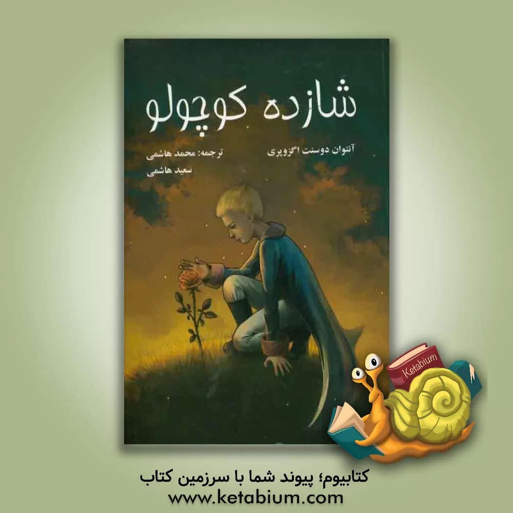 کتاب شازده کوچولو اثر آنتوان‌دو سنت‌اگزوپری