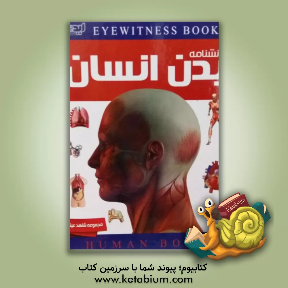 کتاب دانشنامه بدن انسان اثر ریچارد واکر