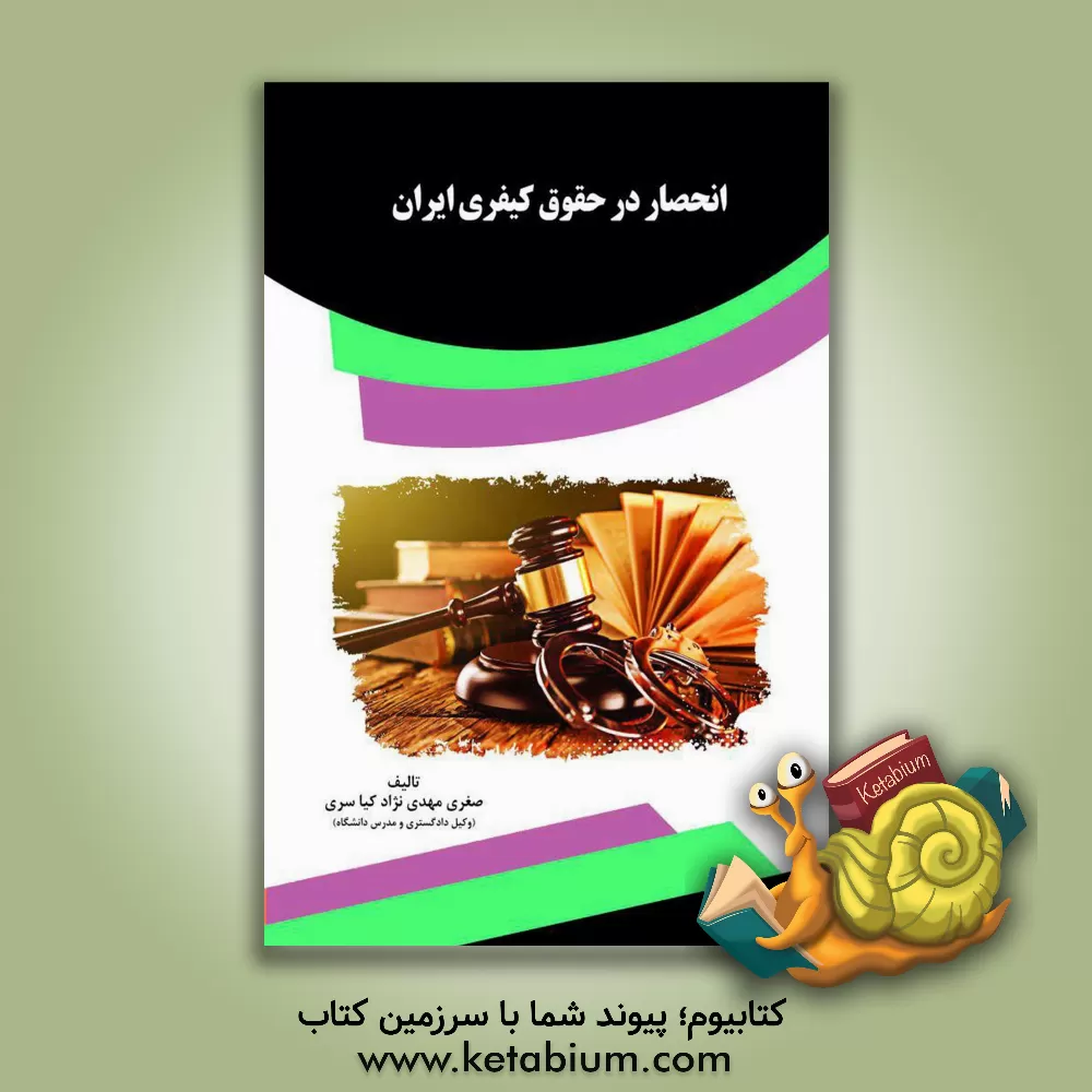 کتاب انحصار در حقوق کیفری ایران اثر صغری مهدی‌نژادکیاسری