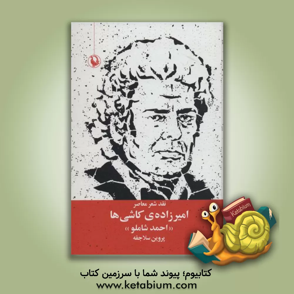 کتاب نقد شعر معاصر امیرزاده ی کاشی ها "شاملو" اثر پروین سلاجقه