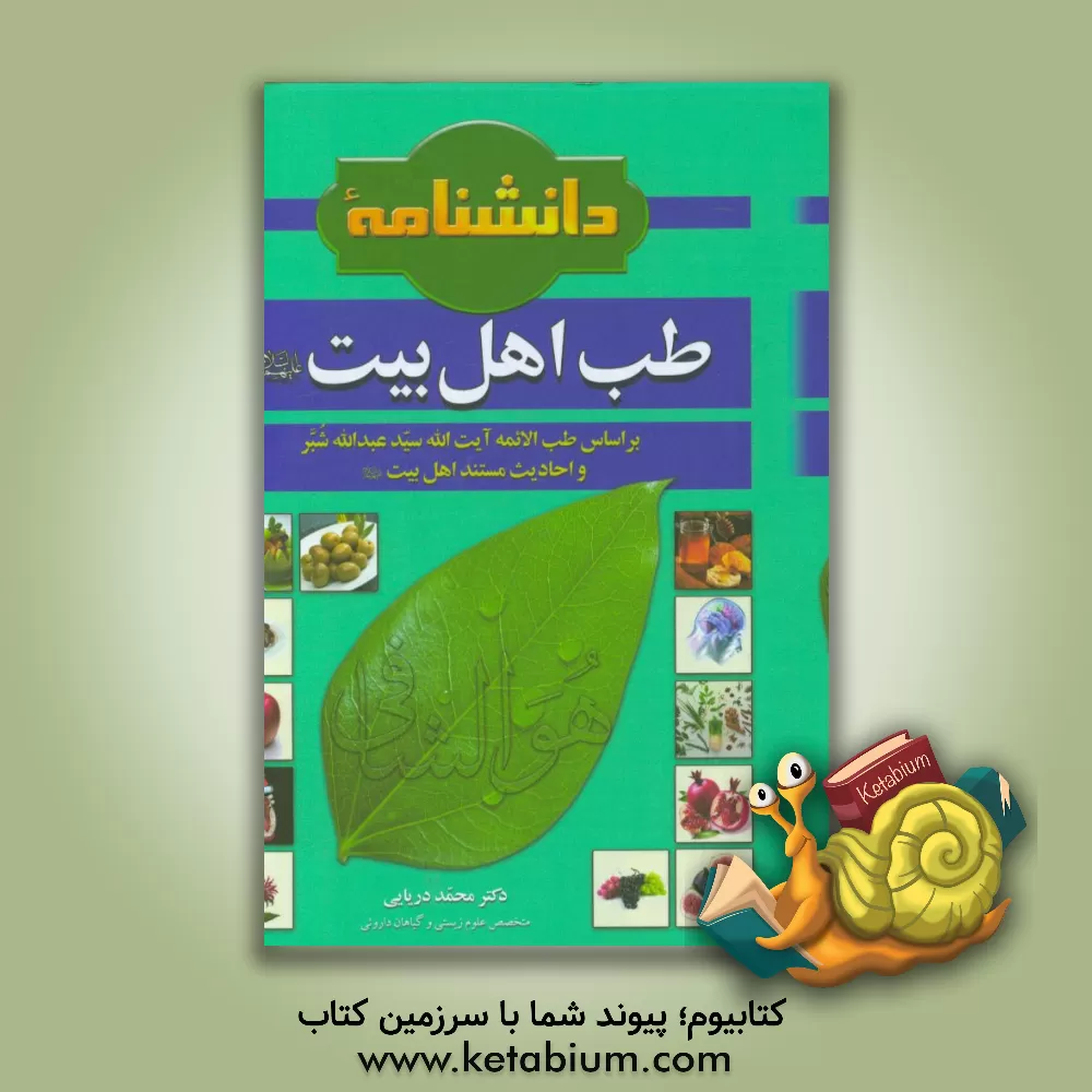کتاب دانشنامه طب اهل بیت (ع) بر اساس طب الائمه آیت الله سیدعبدالله شبر و احادیث مستند اهل بیت (ع) اثر محمد دریایی