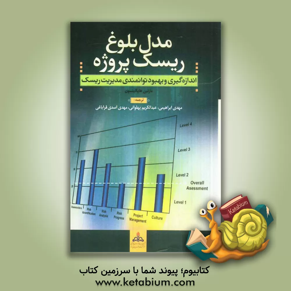 کتاب اندازه گیری و بهبود توانمندی مدیریت ریسک اثر مارتین هاپکینسن