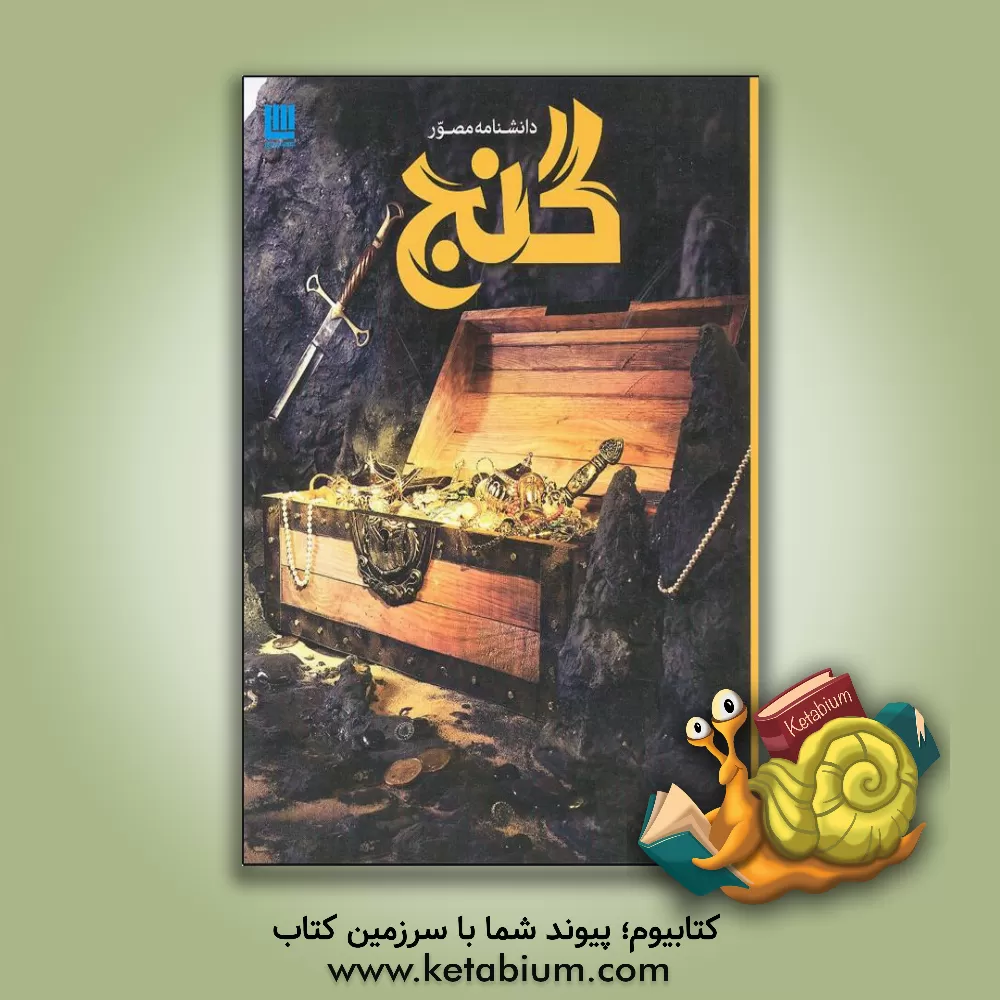 کتاب دانشنامه مصور گنج اثر فیلیپ استیل