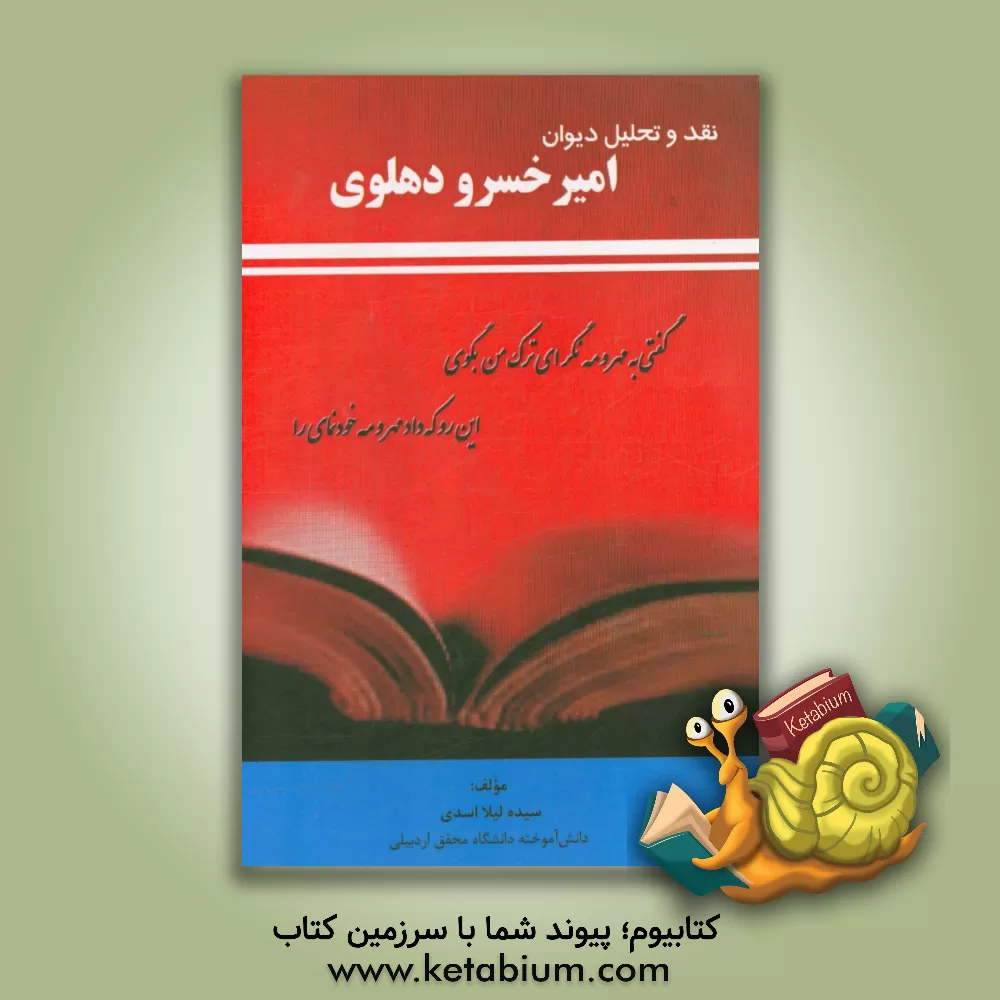 کتاب نقد و تحلیل دیوان امیر خسرو دهلوی اثر سیده‌لیلا اسدی