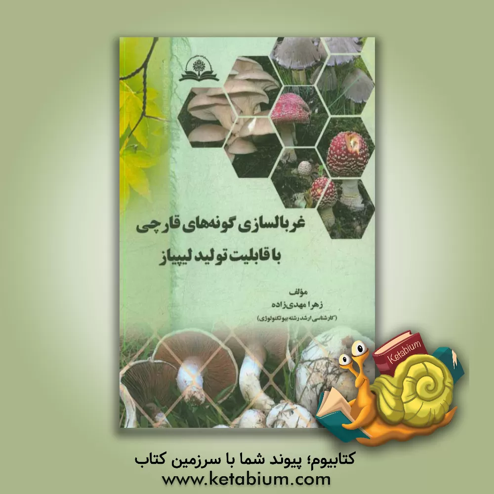 کتاب غربالسازی گونه های قارچی با قابلیت تولید لیپاز اثر زهرا مهدی‌زاده