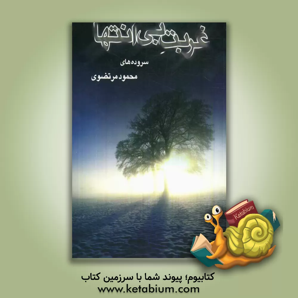 کتاب غربت بی انتها اثر محمود مرتضوی