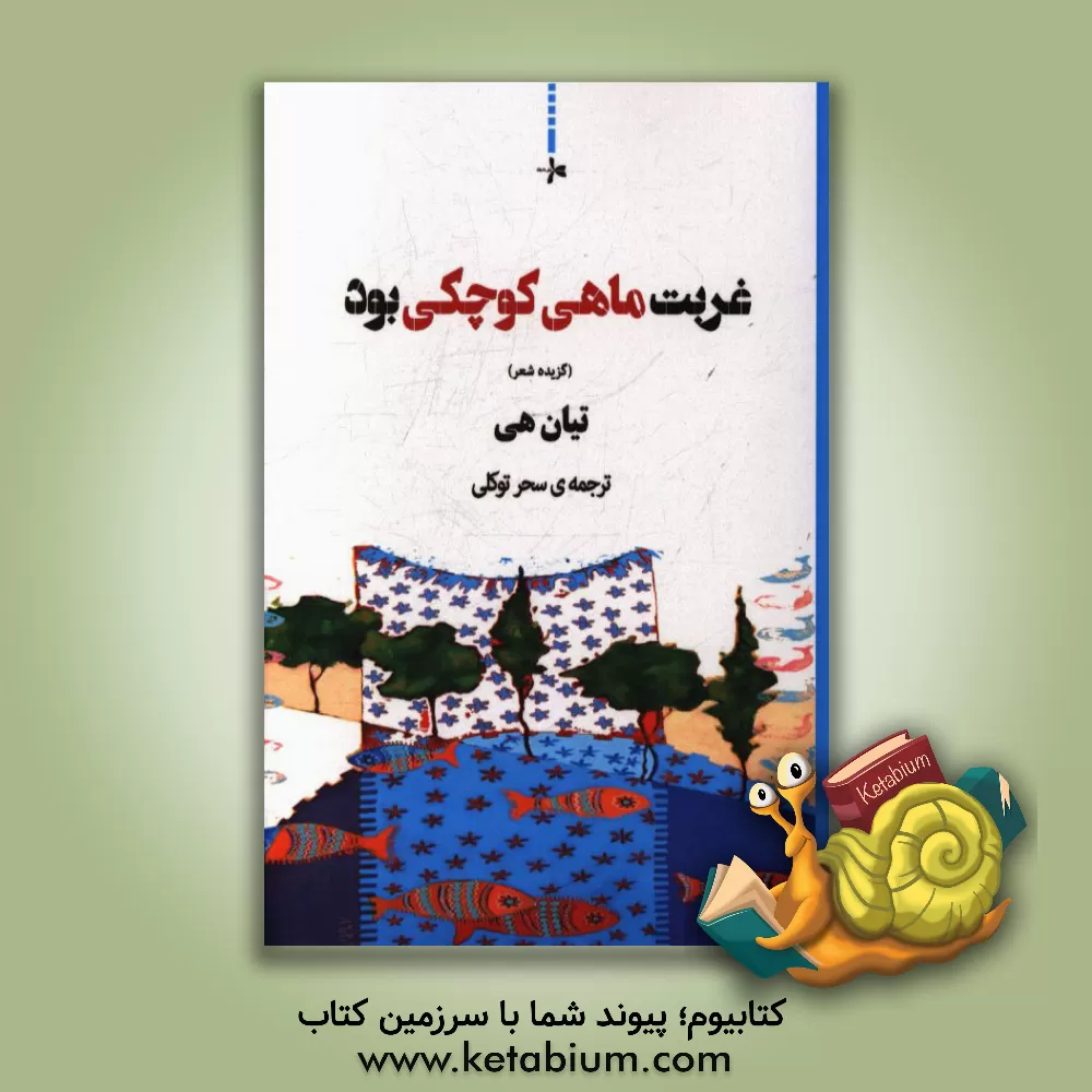 کتاب غربت ماهی کوچکی بود اثر تیان هی