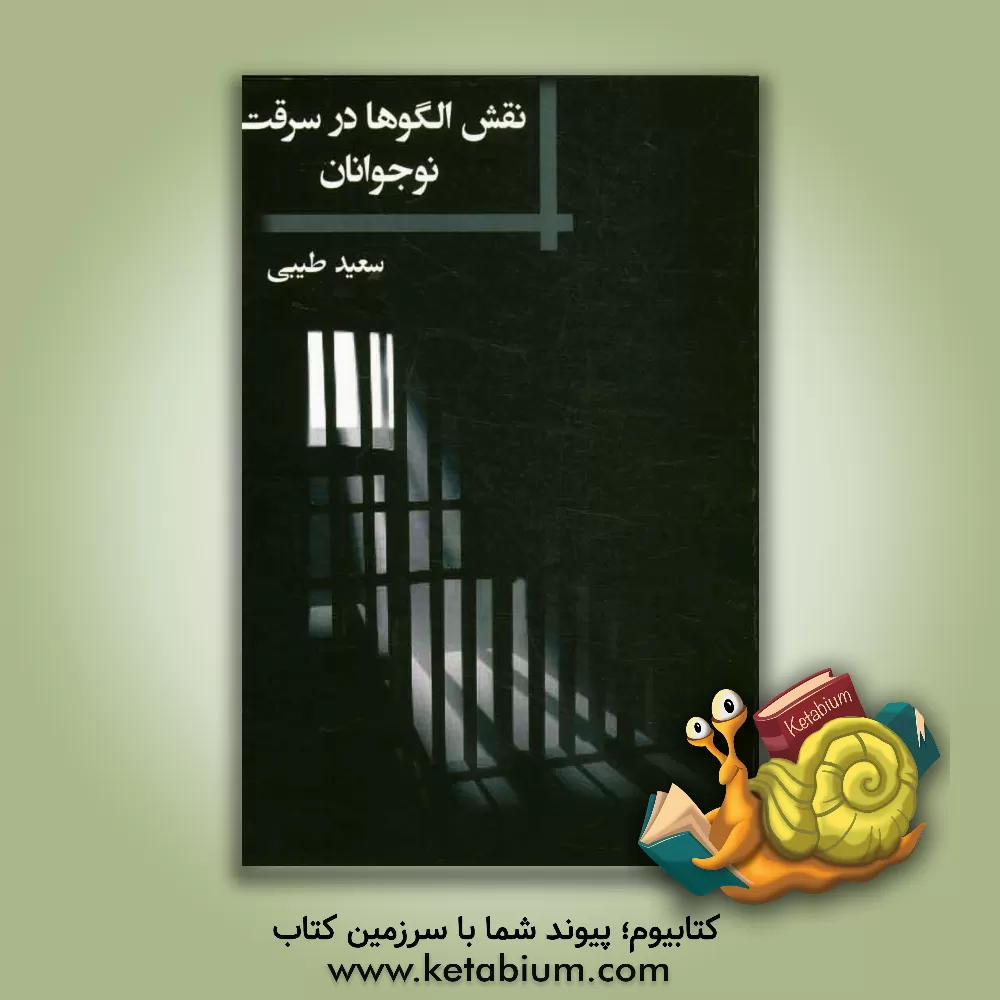 کتاب نقش الگوها در سرقت نوجوانان اثر سعید طیبی