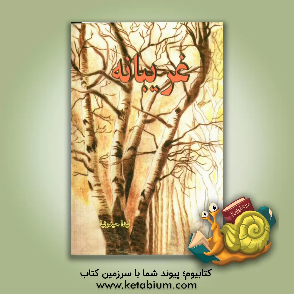 کتاب غریبانه اثر لیدا حیدرنیا