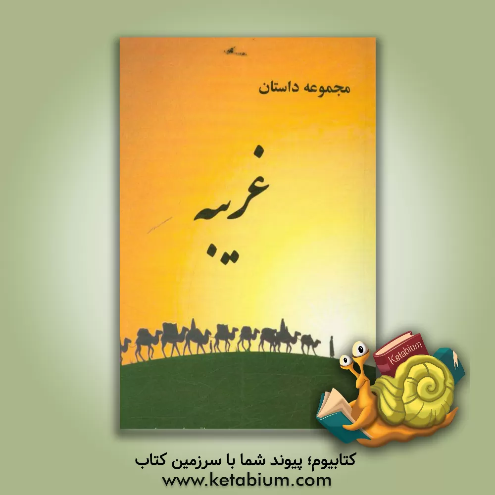 کتاب غریبه اثر محمدباقر عباسی‌سملی