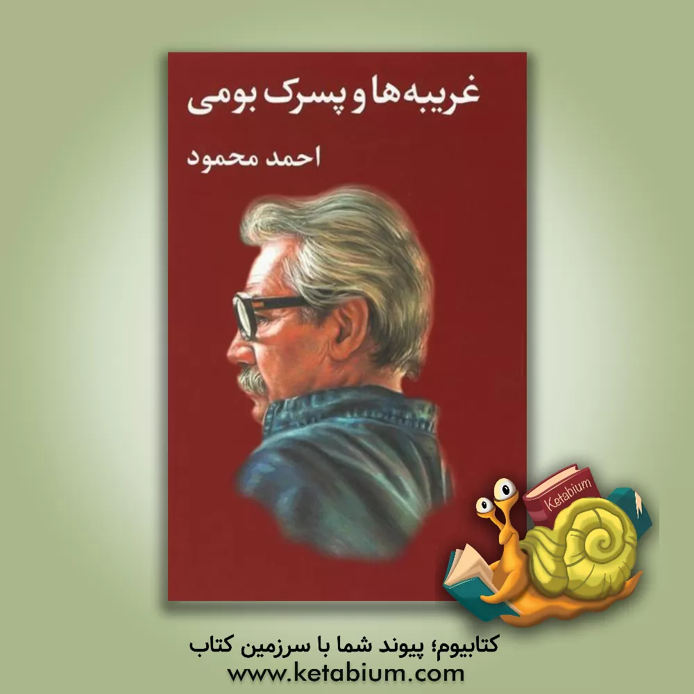 کتاب غریبه ها و پسرک بومی اثر احمد محمود