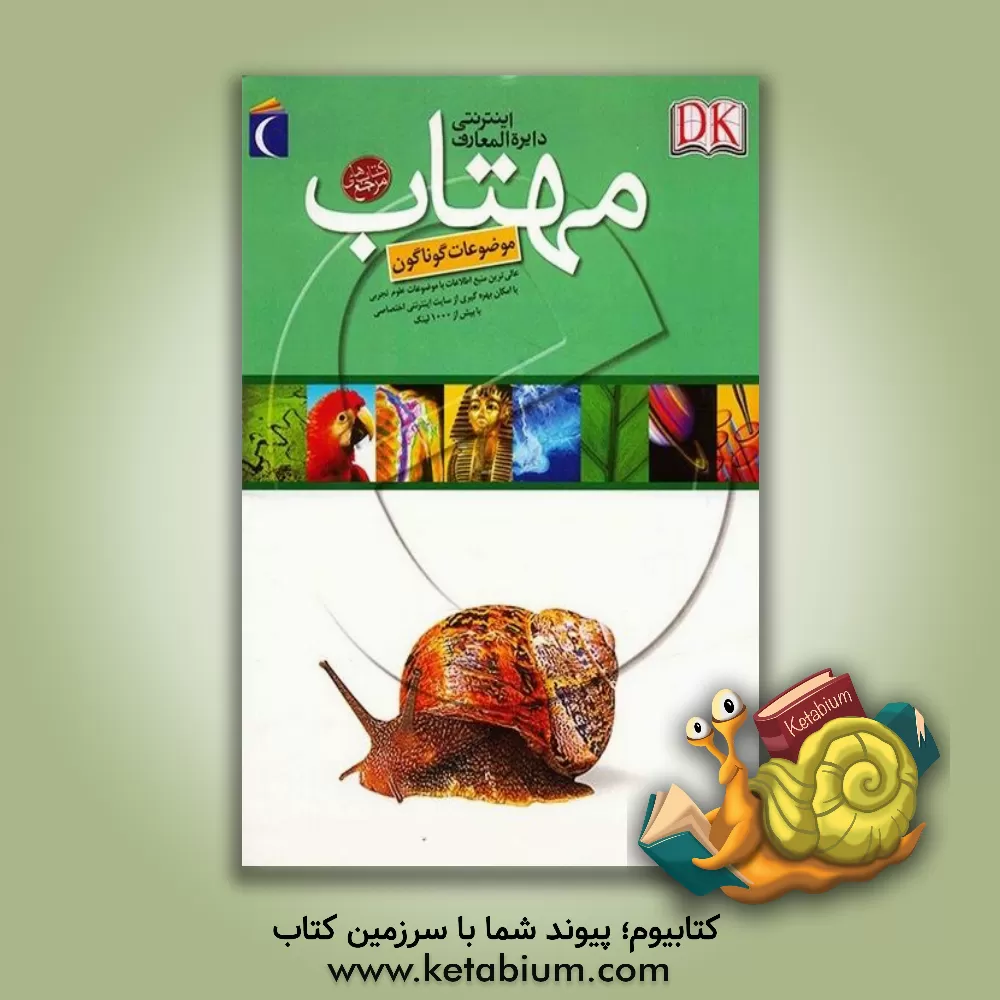 کتاب دایره المعارف اینترنتی اثر جکلین میتون