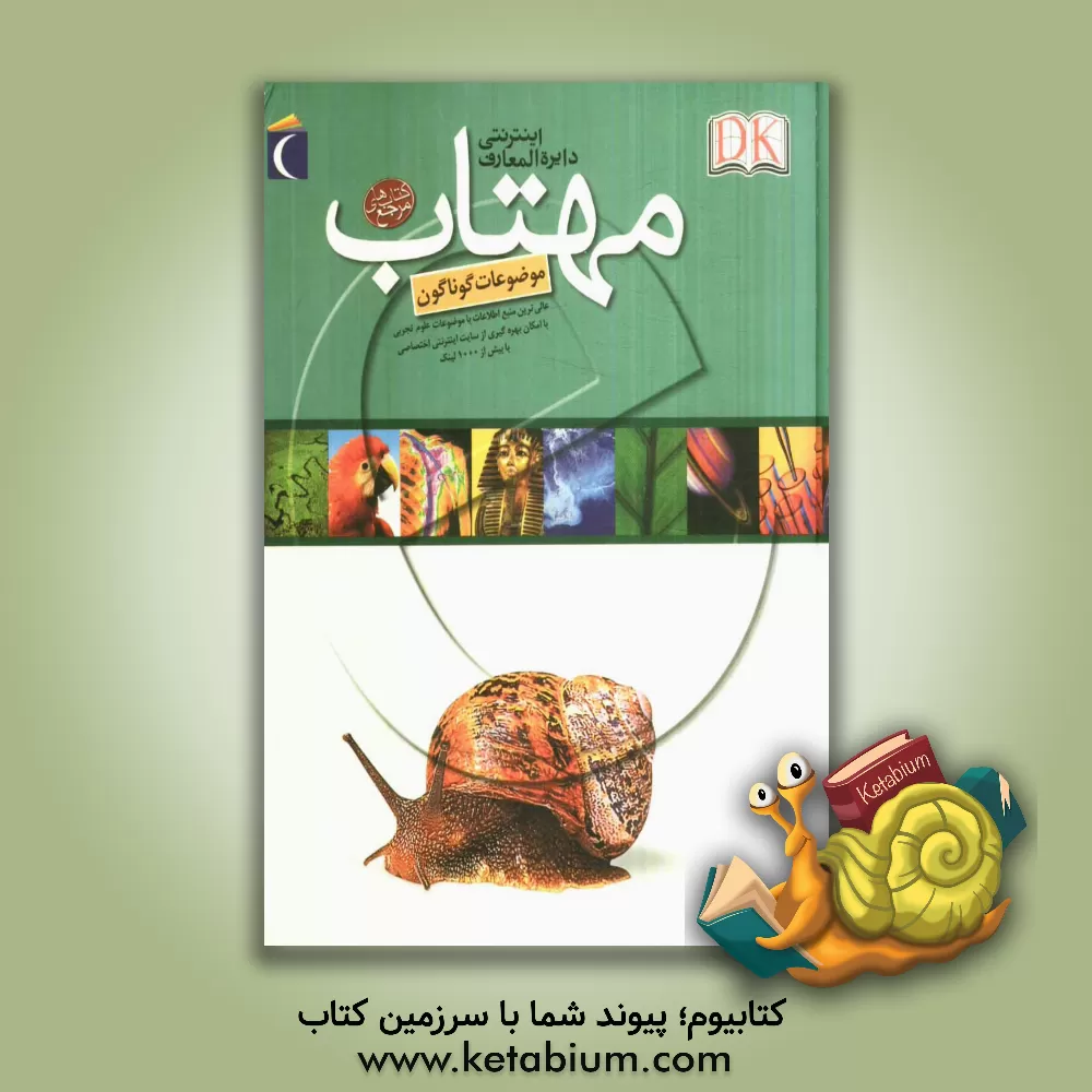 کتاب دایره المعارف اینترنتی اثر جکلین میتون