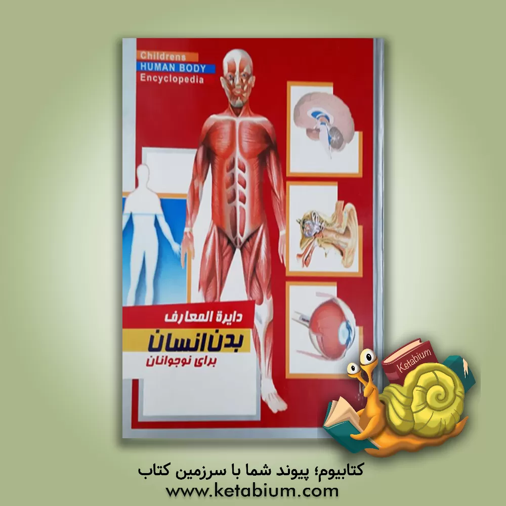 کتاب دایره المعارف بدن انسان برای نوجوانان اثر استیو پارکر
