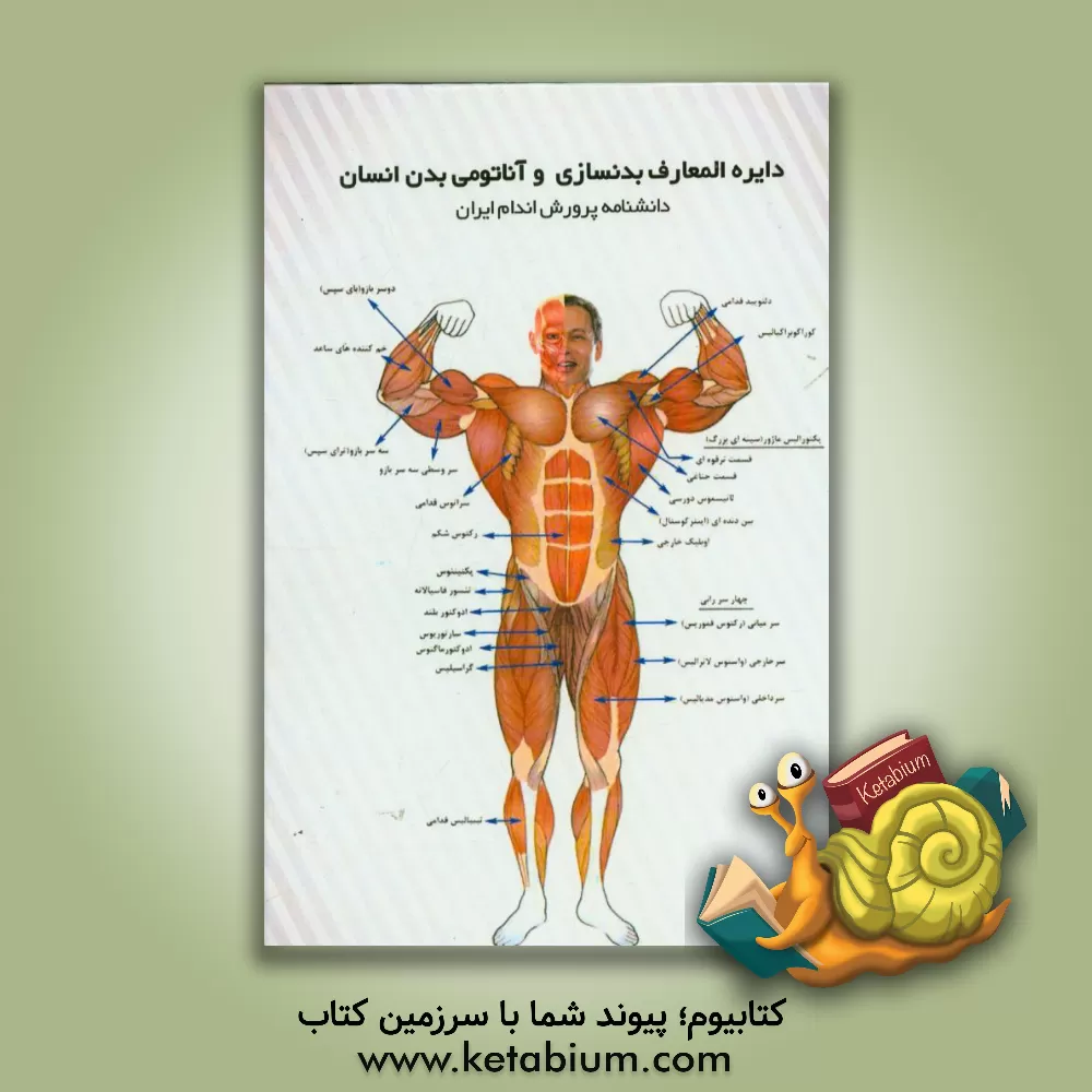 کتاب دایره المعارف بدنسازی و آناتومی انسان: جامع ترین دانشنامه پرورش اندام ایران اثر محمدرضا صفاری